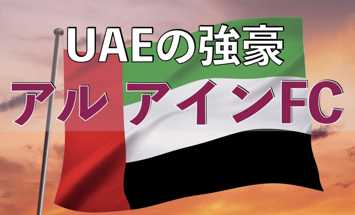 UAEの国旗の写真