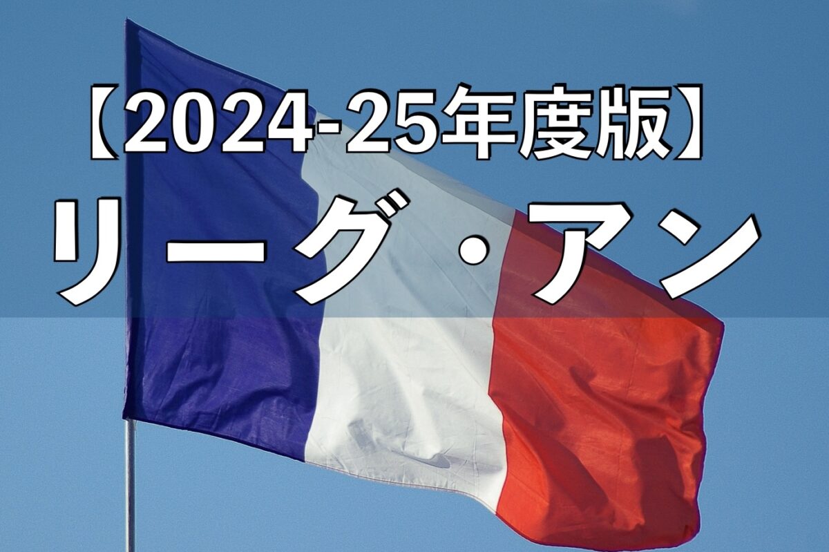 フランスの国旗の画像